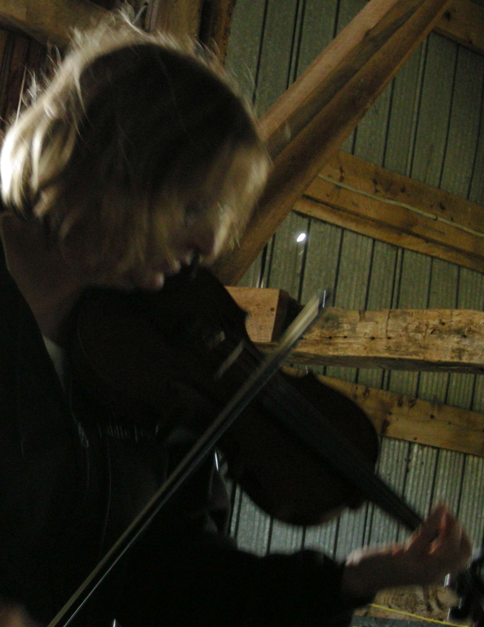 Anne Lederman