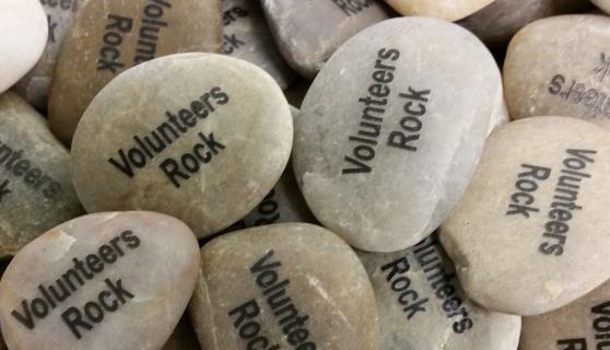 Winterfolk Volunteer Meet Up Dec 16
